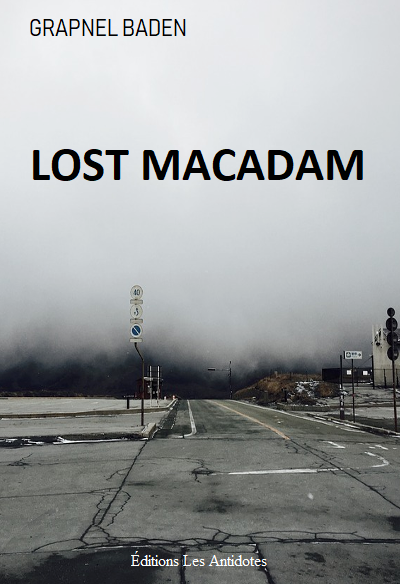 Couv LOST MACADAM (Standard format poche) (Dans le brouillard) 2012